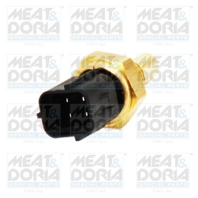 Meat doria 821026 - meat,